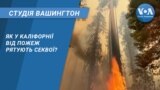 Студія Вашингтон. Як у Каліфорнії від пожеж рятують секвої?