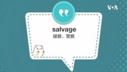 学个词 -salvage