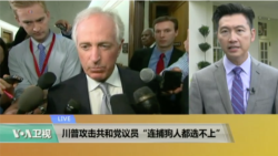 VOA连线：川普攻击共和党议员“连捕狗人都选不上”