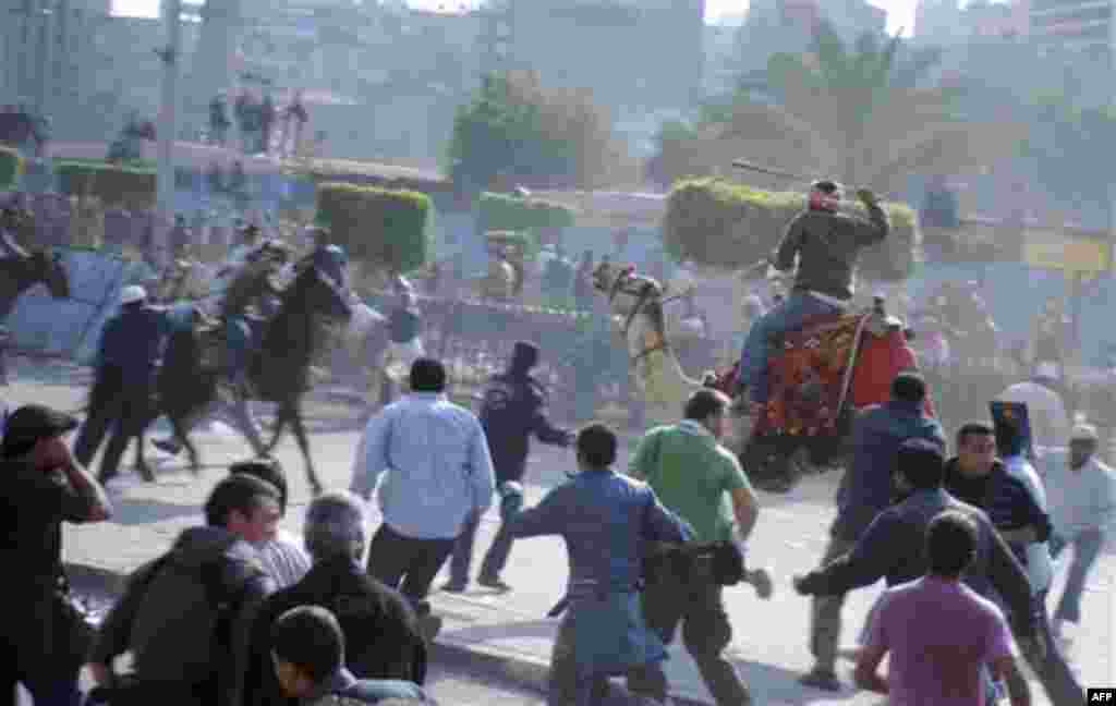 Supporters of President Hosni Mubarak, riding camels and horses, fight with anti-Mubarak protesters in Cairo, Egypt, Wednesday, Feb. 2, 2011. Several thousand supporters of President Hosni Mubarak, including some riding horses and camels and wielding whi