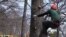 Professional Tree Climbers Showcase Agility, Speed