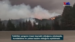 California Yine Alevlere Teslim