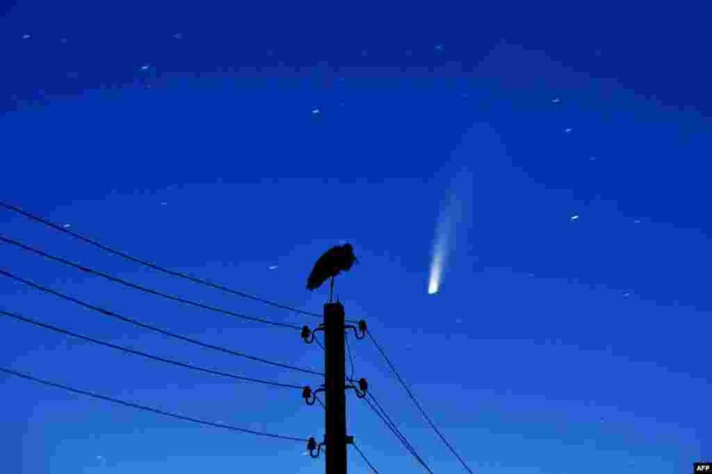 A stork stands on a power lines pillar as the comet C/2020 F3 (NEOWISE) is seen in the sky above the village of Kreva, some 100 km northwest of Minsk, Belarus.