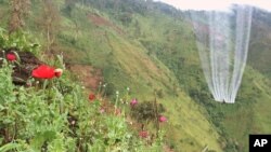 La Corte Constitucional colombiana ordenó el reinicio de las fumigaciones de cultivos ilícitos con el químico, pero bajo estrictas condiciones.