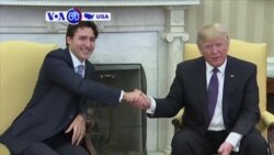 Manchetes Americanas 13 de Fevereiro 2017: Encontro Donald Trump e Justin Trudeau