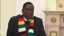 Zimbabwe President Seeks Guidance from Russian Counterpart to Develop Zimbabwe