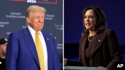 ཨ་རིའི་ནང་འོས་བསྡུ་བྱེད་ཉེའི་སྐབས་དེར་ཌམ་དང་ཀ་མ་ལ་གཉིས་ཕན་ཚུན་བསྙོན་འཛུགས་བྱེད་རེས། 