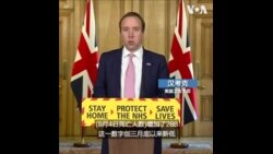 英国新冠死亡人数创新低 将推社交追踪手机APP
