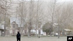 A man walks on a field covered with ash in the mountain resort of San Martin de Los Andes in Argentina's Patagonia. The volcano in the Puyehue-Cordon Caulle chain in Chile has been erupting for the past week, throwing air travel in South America into chao