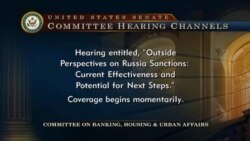Live: Санкции в отношении России - слушания в Сенате