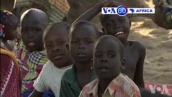 Manchetes Africanas 20 Janeiro 2015