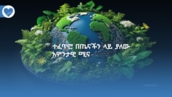 ተፈጥሮ በጤናችን ላይ ያለው አዎንታዊ ሚና 