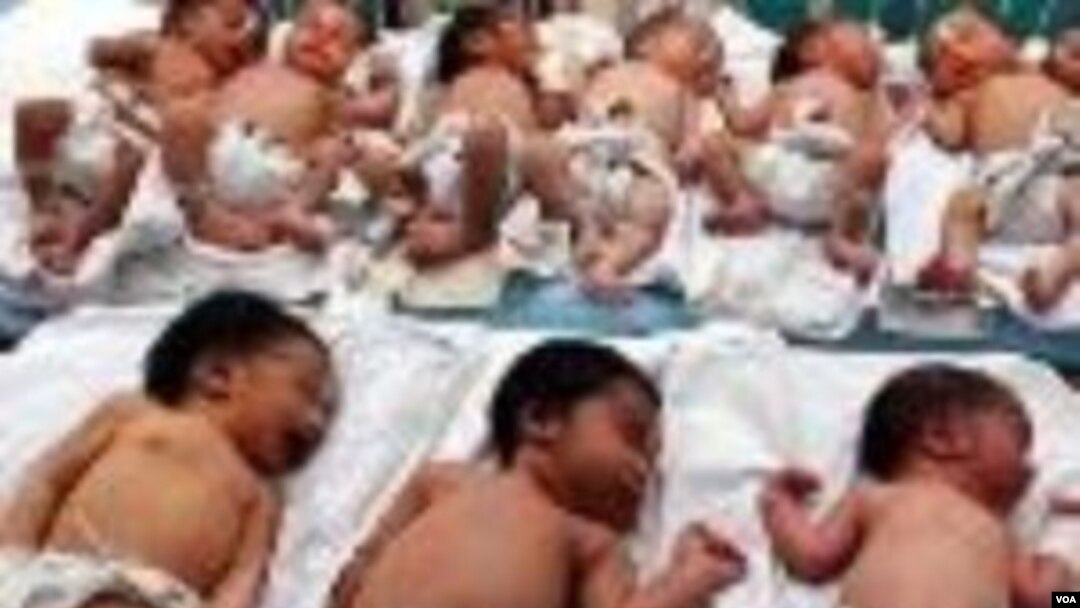 Sekelompok bayi yang baru lahir di sebuah rumah sakit di kota Lucknow, India bagian utara. Menurut perhitungan PBB, populasi dunia akan mencapai tujuh miliar jiwa pada tanggal 31 Oktober 2011.