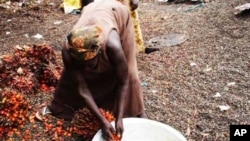 A Ghanaian woman sorts fruit.