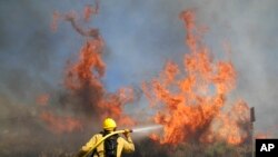 Petugas pemadam kebakaran bekerja melawan Kebakaran Elsmere pada hari Senin, 3 Agustus 2020, di Santa Clarita, California (Foto: AP / Marcio Jose Sanchez)