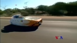 အမေရိကန်အကြီးဆုံးရွှေဖရုံသီးနဲ့ ခွေးတွေရဲ့ ဖက်ရှင်ပြပွဲ