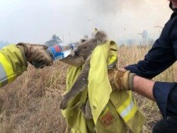 Fire and Rescue NSW team gives water to a koala as they rescue it from fire in Jacky Bulbin Flat, New South Wales, Australia, Nov. 21, 2019, in this picture obtained from social media.