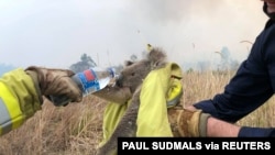 Fire and Rescue NSW team give water to a koala as they rescue it from fire in Jacky Bulbin Flat, New South Wales, Australia, Nov. 21, 2019 in this picture obtained from social media.