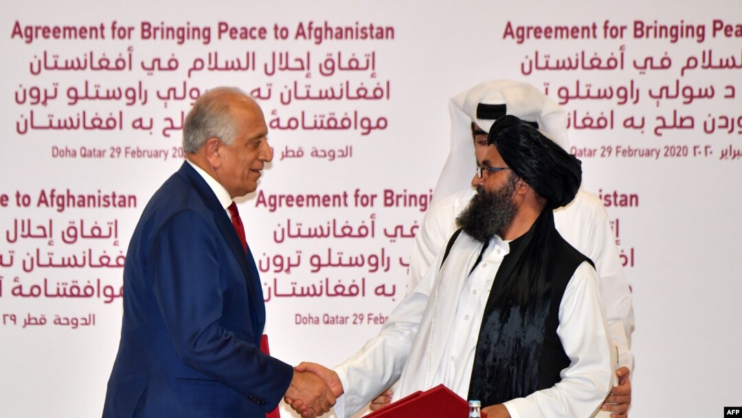د افغانستان د ملي امنیت د شورا ویاند جاوید فیصل د خالي - شنبې په ورځ په کابل کې خبریالانو ته وویل چې د طالبانو لخوا شوي بریدونو کې 789 ته مرګ ژوبله اوښتې ده.