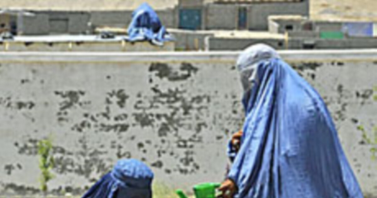 Dogistonlik ayollarning jinsi