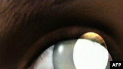 Mjekët i kthejnë shikimin një të verbëri duke përdorur qeliza embrionale