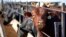 FILE - Cattle occupy a feedlot in Columbus, Neb., in June 2020.