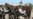 Kurdish Officials Say US Aid Will Help Defeat IS in Iraq