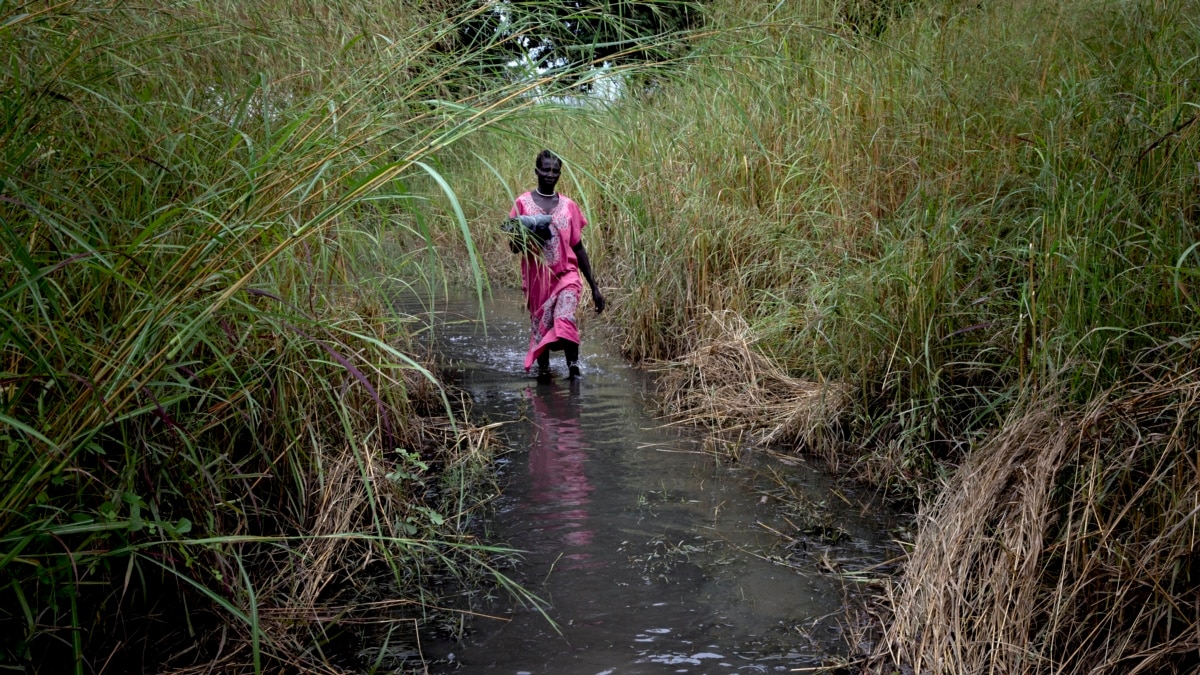 Mafuriko nchini Sudan Kusini yaathiri watu 893,000, zaidi ya 240,000 wakoseshwa makazi