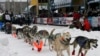 Iditarod Looks for Relevance as Race Across Alaska Starts