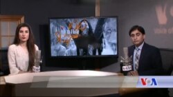 بي بي شیرینه – د ډیوه ریډیو په ټی وي خپرونه 