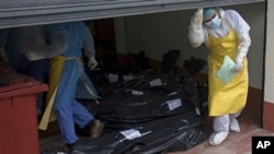 Morgue employees in San Benito take in the bodies that were found on a ranch in northern Guatemala, May 16, 2011