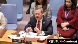资料照片：美国常驻联合国代表麦克·华尔兹在安理会发言。(2025年9月23日)