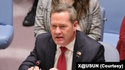 مایک والتز، نمایندۀ ایالات متحده در سازمان ملل متحد