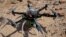 Six-bladed drone casts shadow on a heavily looted 5,000-year-old cemetery, known as Fifa, in southern Jordan, March 19, 2015.