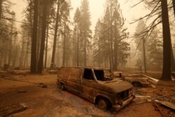 Burned vehicles are seen after the passing of the Dixie Fire, a wildfire near the town of Canyondam, Calif., Aug. 7, 2021.