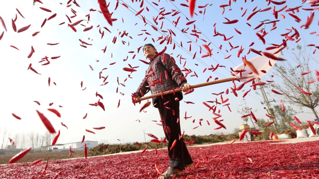 时事大家谈 习近平的 回归 农村政策能走多远