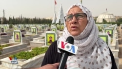 Dosyaya Şervanên Dîl ên HSD'ê li Cem Hikûmeta Sûrîyê
