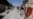 Afghanistan Plans to Double Special Op Forces, Use Drones