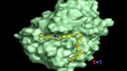 ဒီနေ့ ကမ္ဘာနဲ့ ပလတ်စတစ်ဖျက်ဆီးရေး