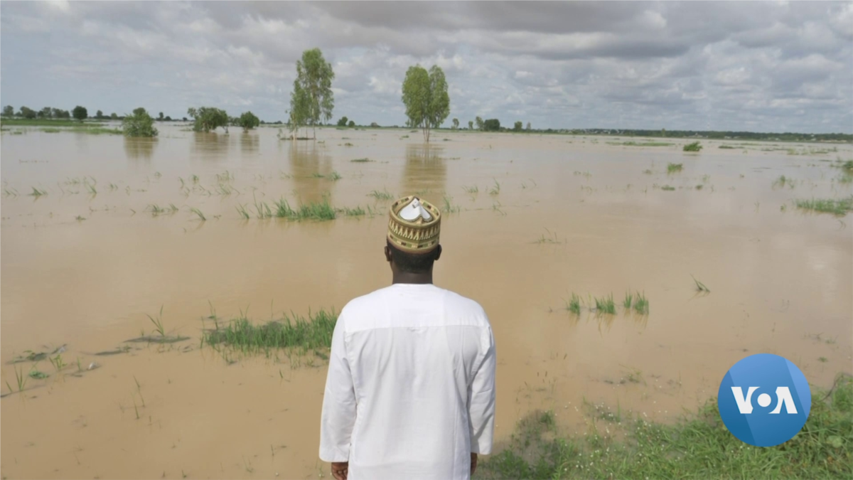 Nigeria Loses A Quarter Of Rice Production To Floods