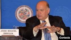 El secretario general de la OEA, José Miguel Insulza, pide tiempo para que cuajen las negociaciones entre Estados Unidos y Cuba.