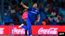 Afghanistan's Gulbadin Naib celebrates after the dismissal of Australia's Pat Cummins during the ICC men's Twenty20 World Cup 2024 Super Eight cricket match between Afghanistan and Australia at Arnos Vale Stadium in Arnos Vale, Saint Vincent and the Gren