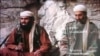داماد بن لادن اتهامات خود را رد کرد