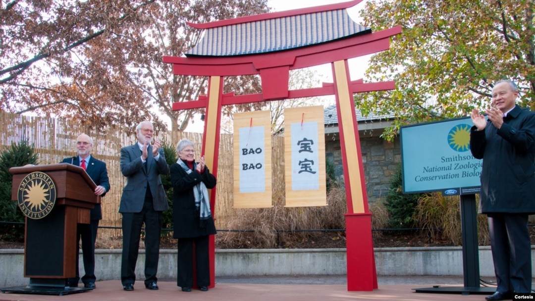 Autoridades chinas y estadounidenses participaron de la ceremonia celebrada en el zoológico nacional de Washington. [Foto: Cortesía Smithsonian].