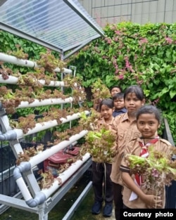 Kebun hidroponik di Sekolah Bisa. (dok. Sekolah Bisa)