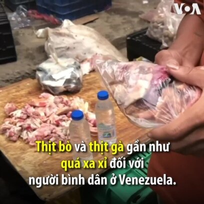 Dân nghèo Venezuela ăn da và mỡ chống đói