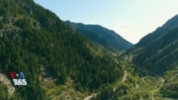 شرکت های نوپا – چرم مرغوب