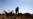 US Widens Campaign Against Islamist Militants
