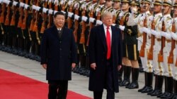 资料照片：2017年11月9日美国时任总统特朗普与中国国家主席习近平（路透社）