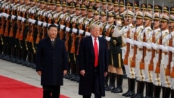 
FILE PHOTO: U.S. President Donald Trump takes part in a welcoming ceremony with China's President Xi Jinping in Beijing
FILE PHOTO: U.S. President Donald Trump takes part in a welcoming ceremony with China's President Xi Jinping in Beijing, China, November 9, 2017. REUTERS/Damir Sagolj/File Photo